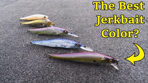 The BEST Jerkbait Colors!