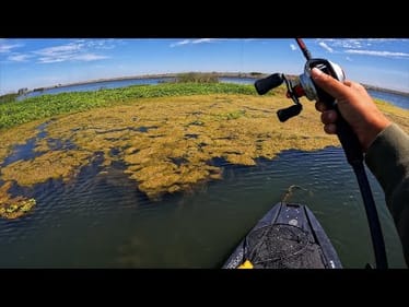 Summer to Fall transition on the California Delta (Best day of 2025)