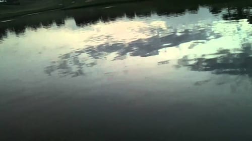 Great Day On The Pond