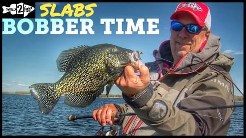 Bobber Fishing Tips for Springtime Crappies