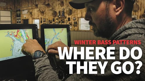 WINTER Bass Patterns (Where to Catch them in Winter)