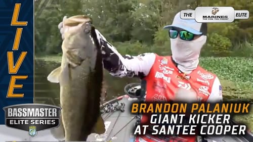 Brandon Palaniuk's giant Santee Cooper bass