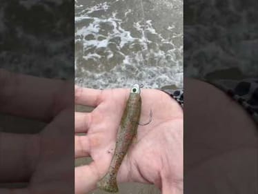 Fishing the Beach with the Z Man Mullet Tron Swimbait #fishing
