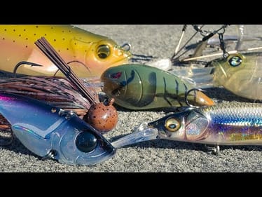 How To Catch Bass In Cold Water! (Everything You Need To Know)