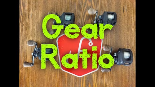 What Gear Ratio is the Best for Bass Fishing