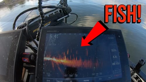 Clear Lake Swimbait Encounter & Garmin Panoptix LIVESCOPE Crappie Sniping