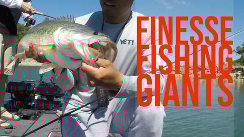 Big Bass on Light Tackle! Texas Bass Fishing with an Underspin Part 2