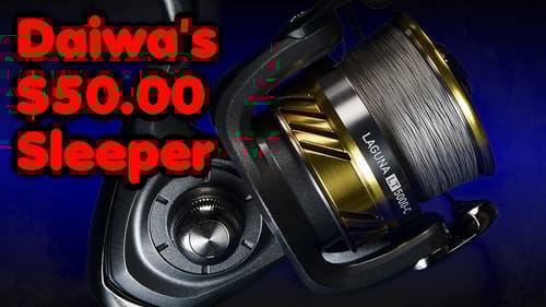 The NEW Daiwa Laguna is better than I expected for a $50 - 5000 sized reel.