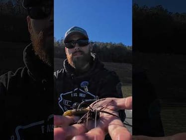 Dirty. Cold. Rising.No panic. Just adjustments.Watch the full video & Subscribe 🎥 #BassUnion