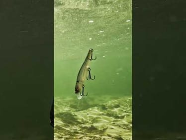 What is your FAVORITE jerkbait?