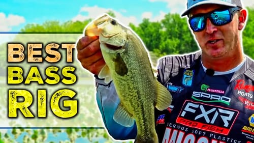 Potomac RIVER Bass Fishing - Bryan Schmitt’s approach to heavy cover!