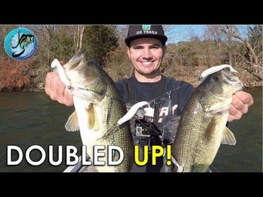 How To Fish Alabama Rigs For Winter Bass