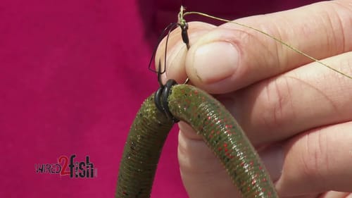 How to Rig Wacky Worms for More Hookups