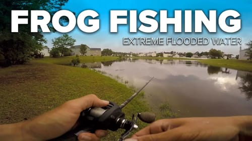 Topwater Frog Fishing in FLOODED Backyard Pond!