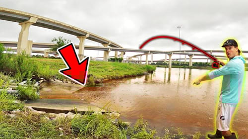 I Found BIG Fish TRAPPED in this Interstate Spillway!!