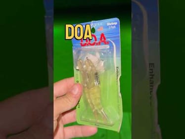 Catching Speckled Trout on a Fake Shrimp Lure #fishing