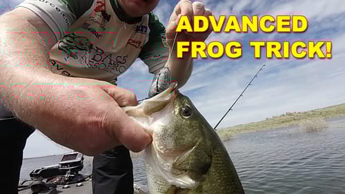 Why Do People Trim Skirted Legs On Frog Baits? | Bass Fishing