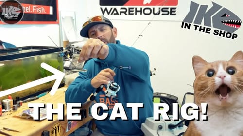 THE CAT RIG! SUPER SIMPLE WEEDLESS MODIFICATION!