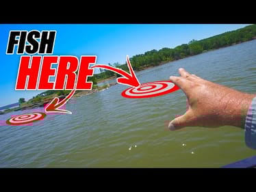 Fish Like These Areas The BEST! (Catch More Fish)