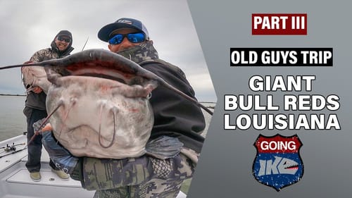 Bull Reds in LOUISIANA!! (Biggest in the Country?!)