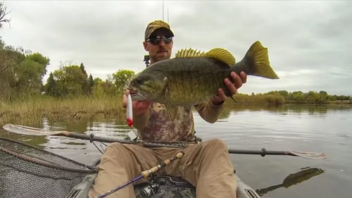 Late Season Topwater Smallies