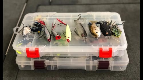 Pond TOPWATER Challenge! Summer Bass Fishing!