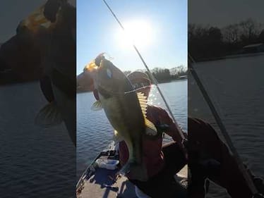 Pre spawn fishing in Texas #fishing