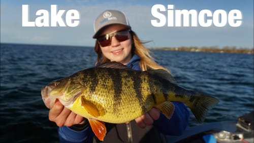 Match the Hatch for JUMBO Spring PERCH!!