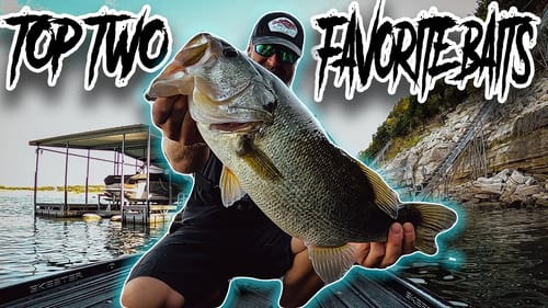 Fall Fishing With My Favorite Baits To Throw! Hits From The Bongo!