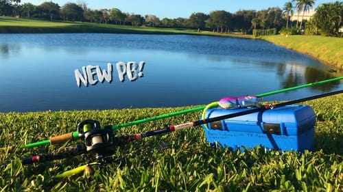 TRAVELING TACKLE Box CHALLENGE! (HUGE Bass Broke PB)