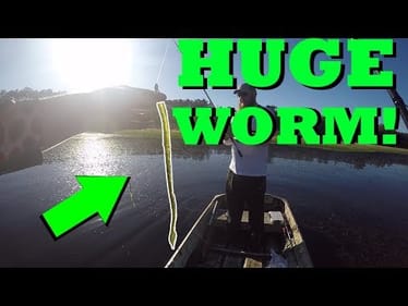 HUGE Worms ONLY Fishing CHALLENGE (ft. Lojo Fishing)