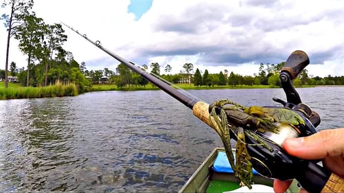Summer Fishing Tips for Big Bass!