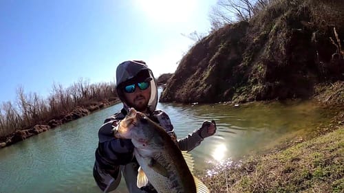 Sight Fishing Clear Water Bass Pt. 1