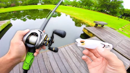 FROG Fishing for GIANT Bass in SMALL Ponds!