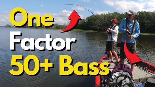 This One Factor Led to 50+ Bass Catch on One Spot | Bass Fishing Tips