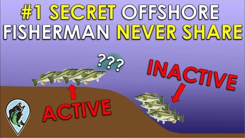 Fish Finder Secret Pros Don't Want You To Know! | Bass Fishing Sonar