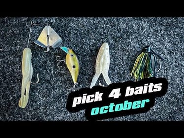 Pick 4 | Baits For October