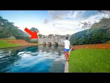 Exploring Urban Ponds for MONSTER Bass (These City Ponds Are LOADED With Bass)