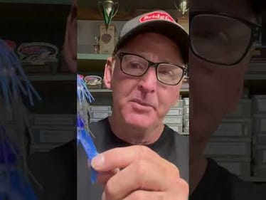 Jig Color Wisdom