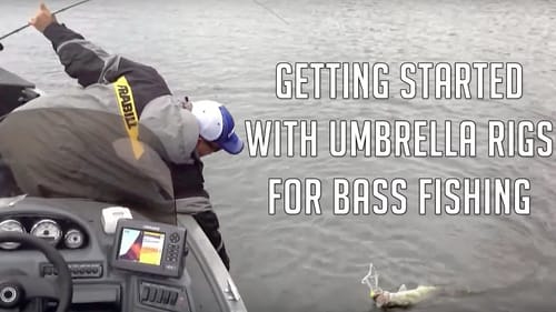 The Alabama Rig - How to Get Started Fishing with It
