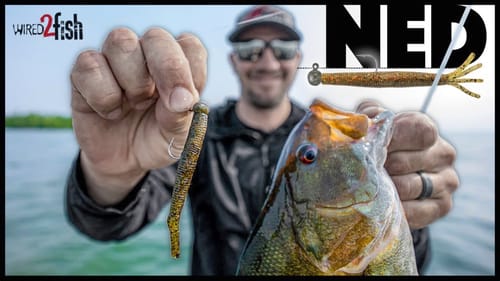 3 Reasons to Use Football Jigs When Ned Rigging Bass