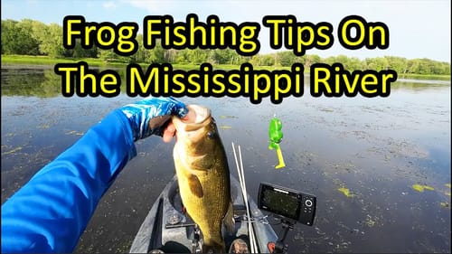 Frog Fishing Tips for Big Mississippi River Bass