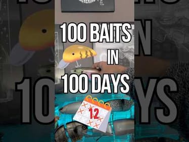 100 Baits In 100 Days - Day 12: DRT Ghost 12” Swimbait #fishing