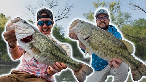 BIG Shallow Bass Crushing Frogs & Crankbaits