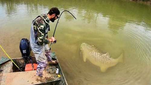 IT WON’T FIT IN THE NET!! (RIVER BEHEMOTH)
