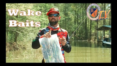Wake Baits with Mike Iaconelli
