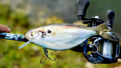 Making an ULTRA-REALISTIC Shad Jerkbait!!!
