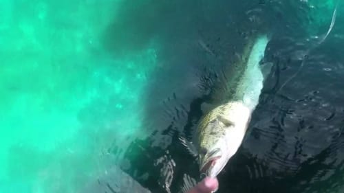 Catching Late Spring Bass
