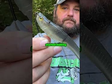 The Best Bait For Fall Bass
