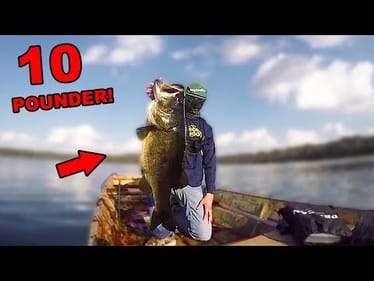 2 Casts, 20 Pounds (CRAZY BASS FISHING!)